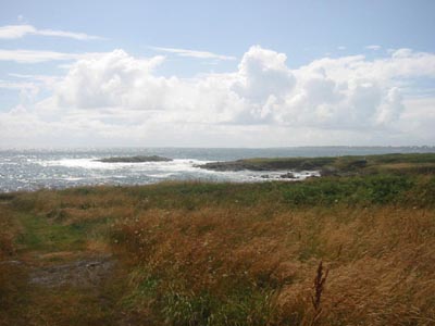 BRIGNEAU Bretagne juillet 2008