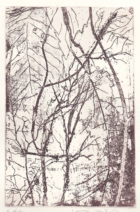 2010  "Forêt" gravure sur cuivre 20x15 cm 10 exemplaires
