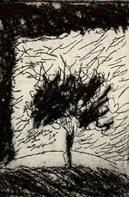 "Petit Arbre 5 x 5 cm 2005