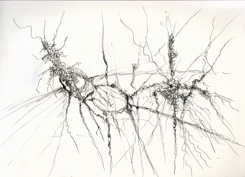 encre 17 janvier 2011 29 x 21,7 cm