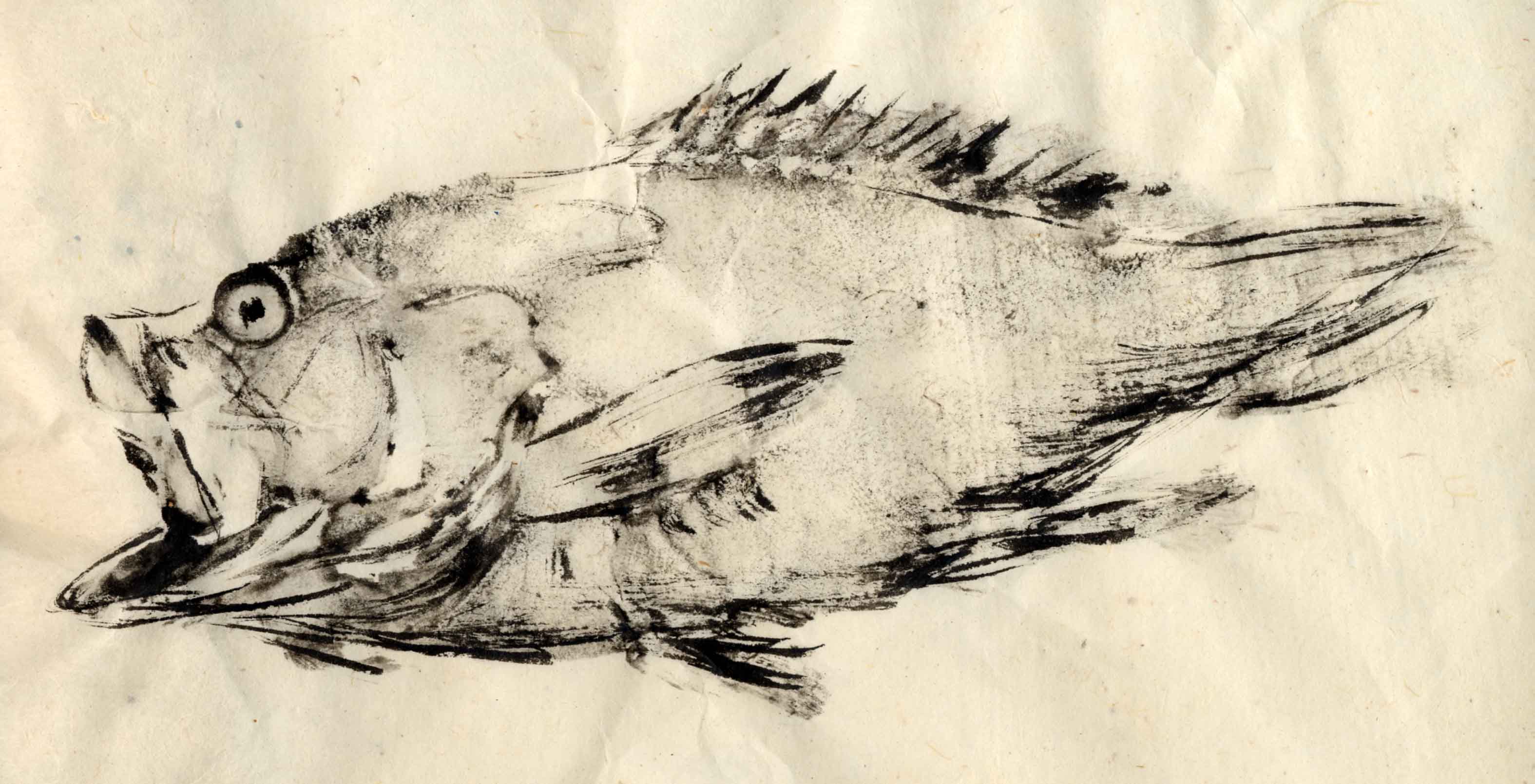 Gyotaku Poisson rouge du Congo 15 x 20 cm 2005