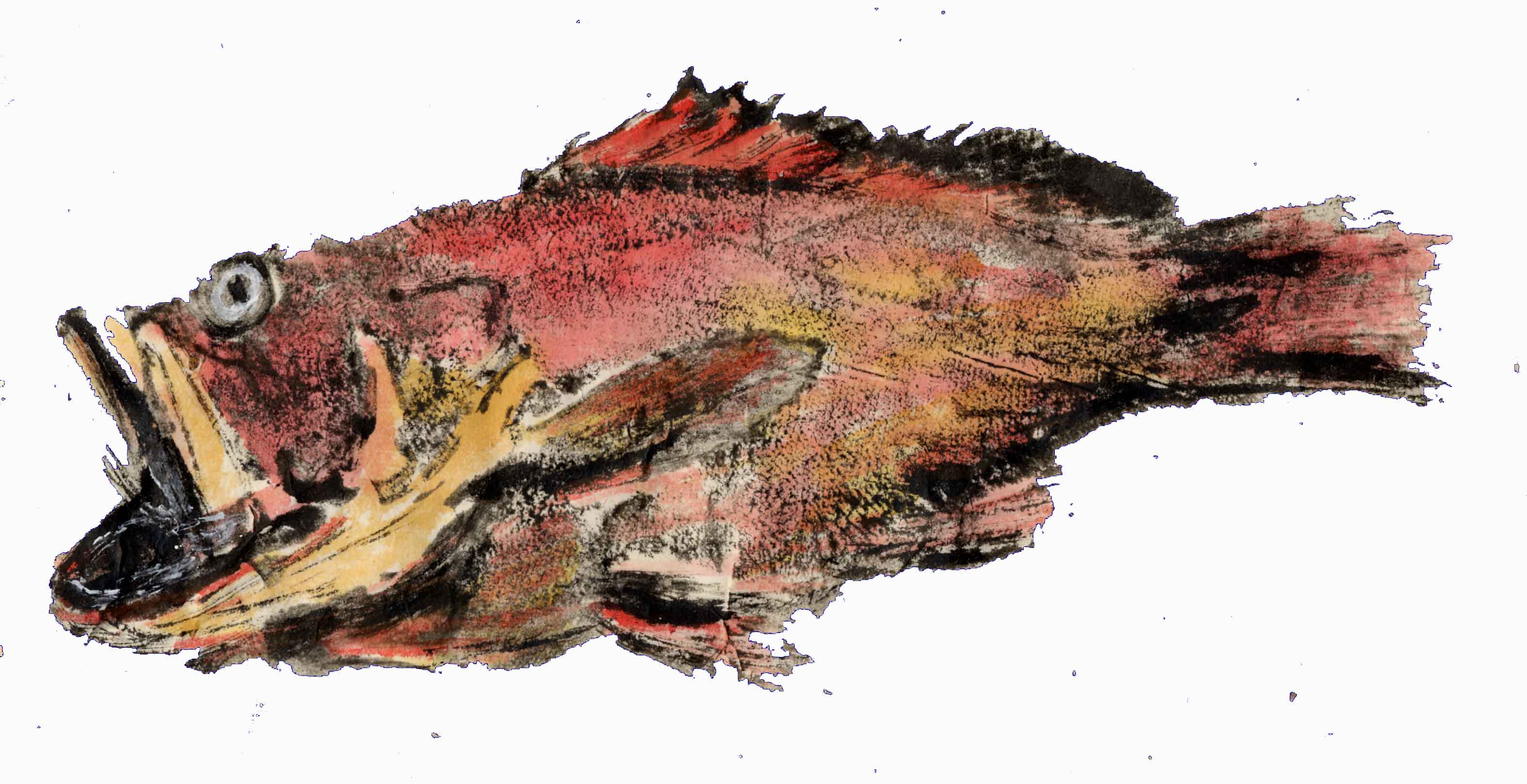 Gyotaku poisson rouge du Congo aquarell 2005