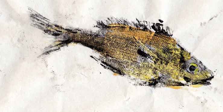 Gyotaku poisson de Mditrrane 2011