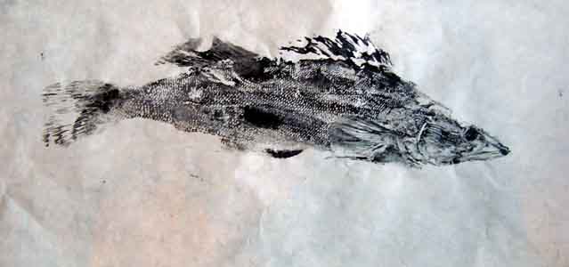 Gyotaku broch 2011