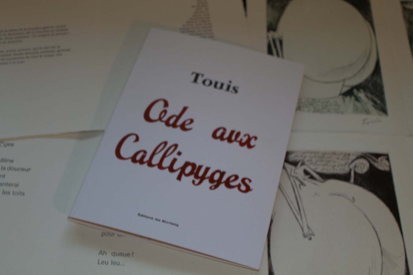 En ce jour d\'clipse du 20 mars 2015 est ne des ateliers des Monteils sous les arbres une dition originale d\'un texte et de 4 eaux-fortes ralits par Tous. 24 exemplaires, ont t achevs d\'imprimer par Marc Granier Ssur les presses artisanales avec l\'aide de Maya Ayme, sur papier Hahnemuelhle 300g, composs en plomb mobile,univers corps 20. L\'auteur signases oeuvres disparut... Furtivement.   us les arbres