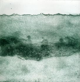 2006 "Algues" aquatinte sur cuivre 20x20 cm